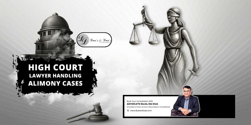 High Court Lawyer Handling Alimony Cases